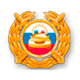 Просим откликнуться очевидцев ДТП!