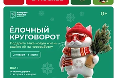 Традиционная акция «Елочный круговорот» пройдет в столице
